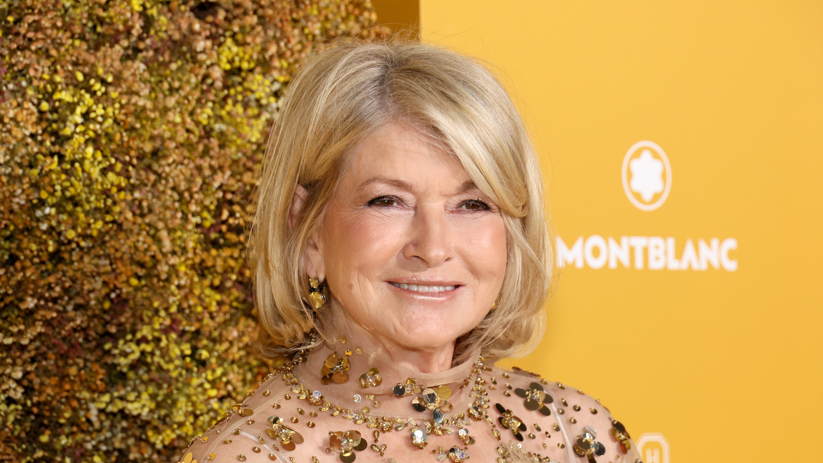How Many Cookbooks Has Martha Stewart Published?