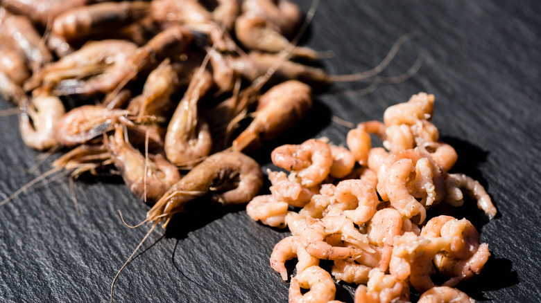 Large and small shrimps next to the each other on a black surface