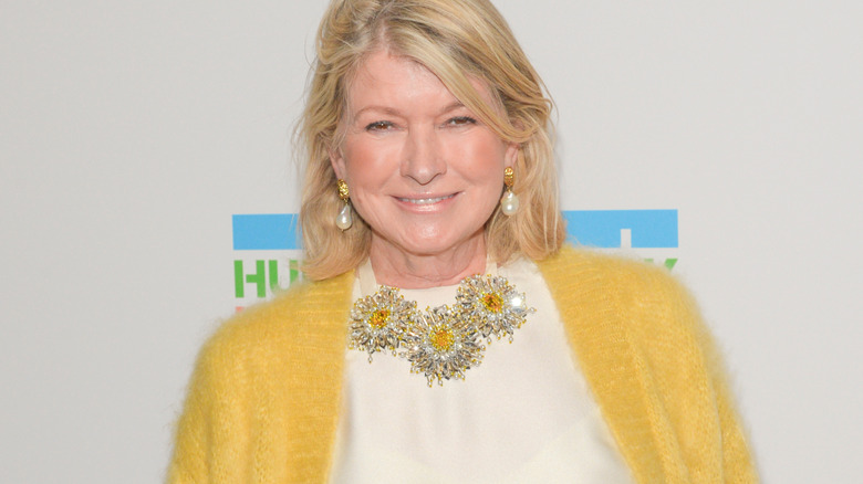 Martha Stewart headshot