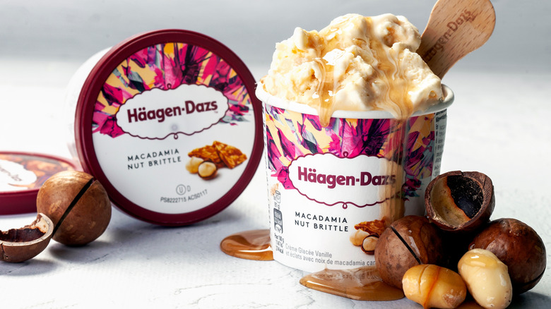 haagen-dazs ice cream macadamia nut brittle