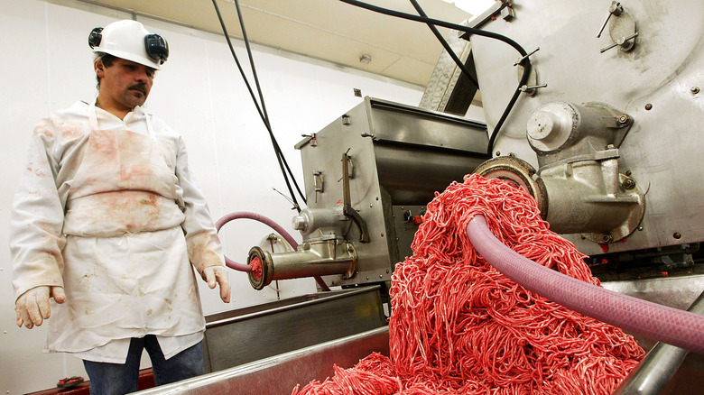 Working watching ground beef mixing