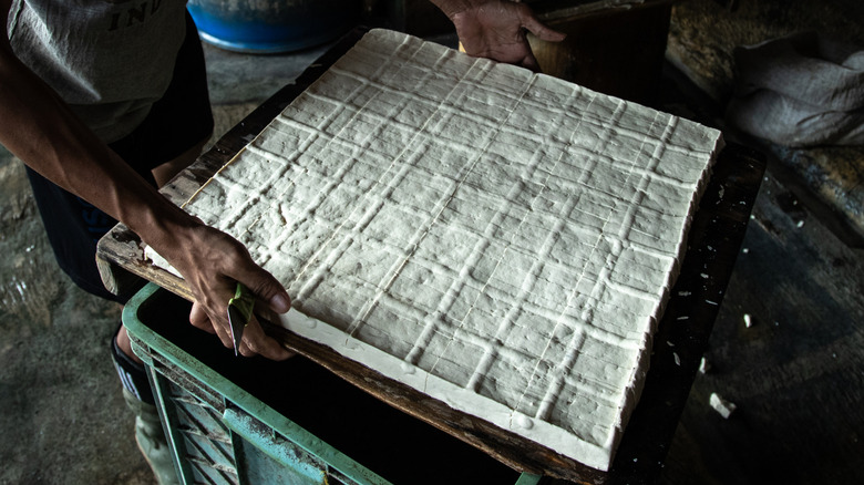 Someone making tofu, holding a tray of the white blocks