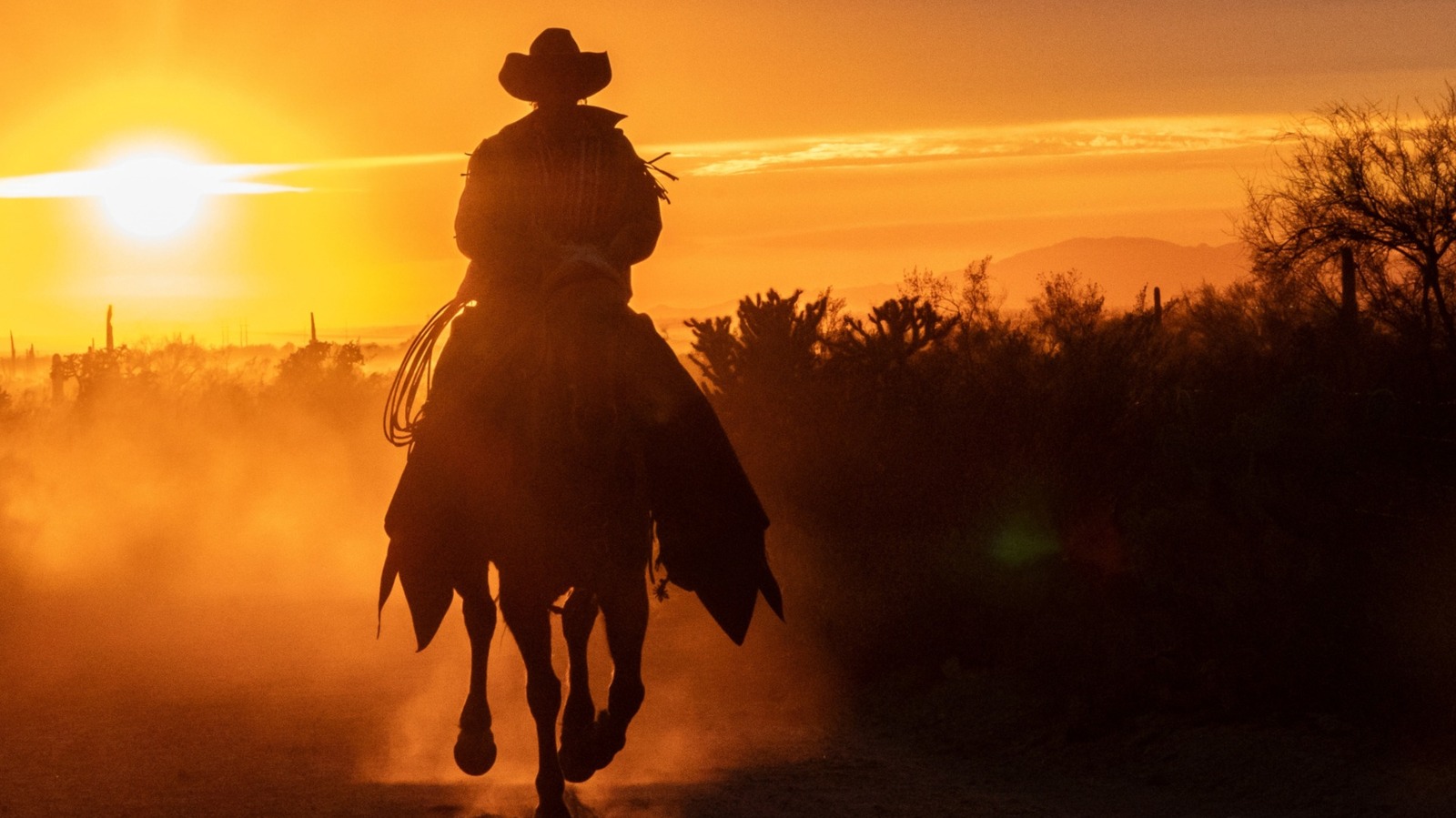 How Much It Cost To Feed A Cowboy In The American West