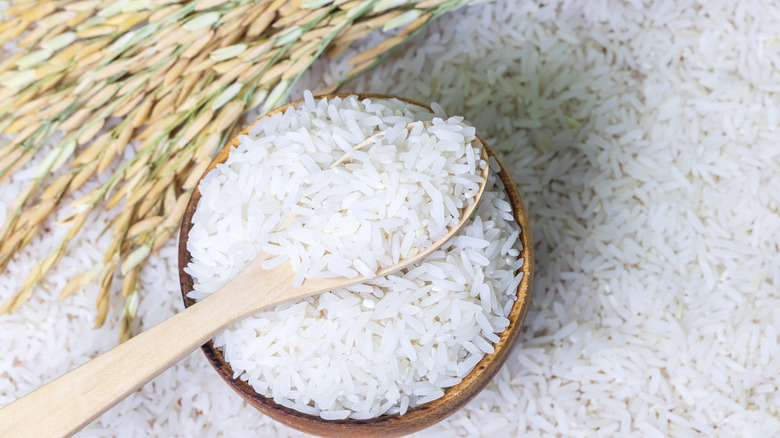 Bowl of rice surrounded by rice
