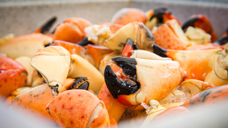 Pile of stone crab claws