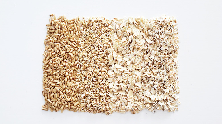 Four different types of oats