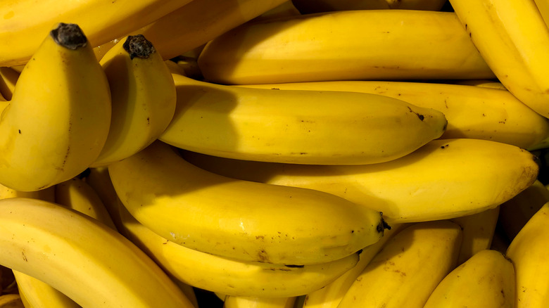 close up of banana bunches