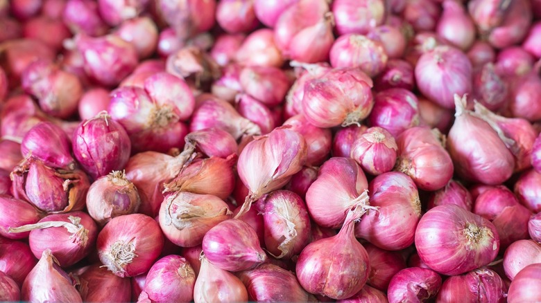 Pile of pink shallots 