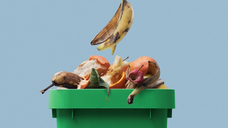composting bucket