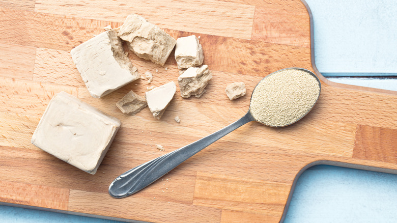 Fresh yeast on a chopping board next to spoonful of dried yeast