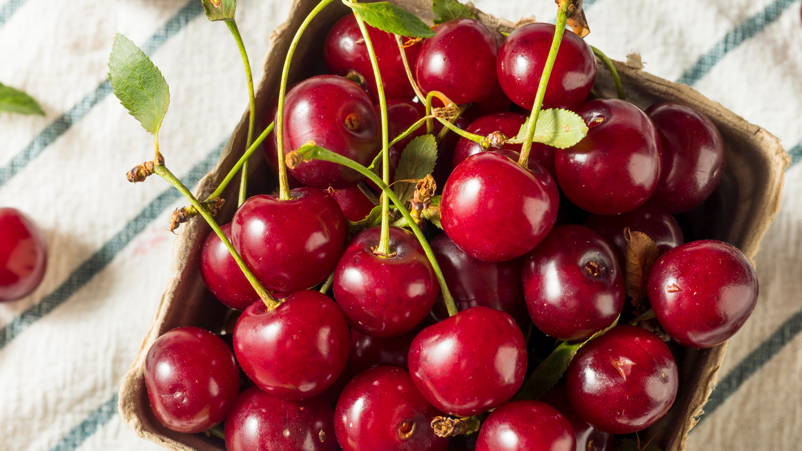 How The Bing Cherry Obtained Its Title ScoopMint