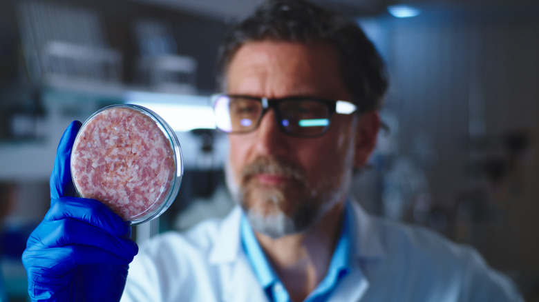 man examining lab grown meat