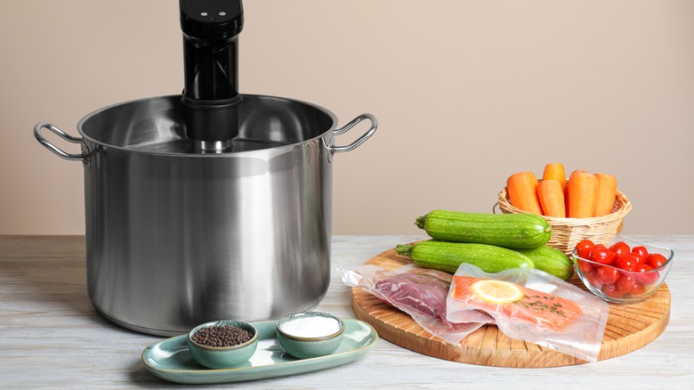 Immersion heater for sous vide