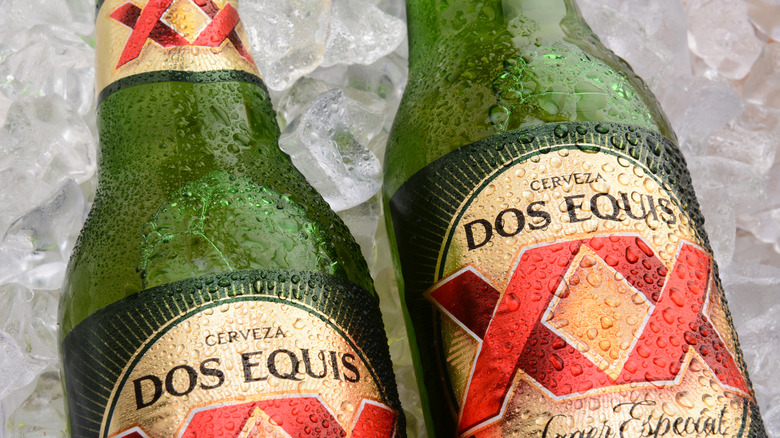 Bottles of Dos Equis