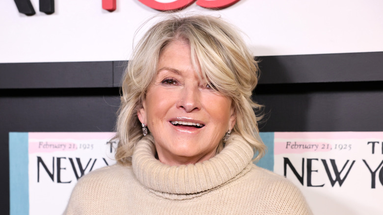 Martha Stewart headshot