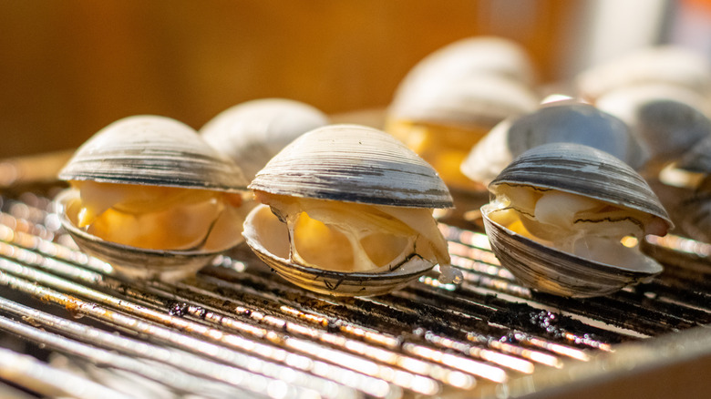 Littleneck clams on the grill