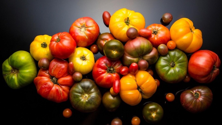 colorful variety of tomatoes