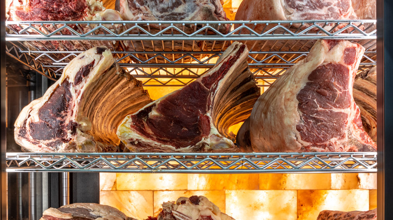 A row of deep red pieces of beef on a metal rack in a dry-aging environment.