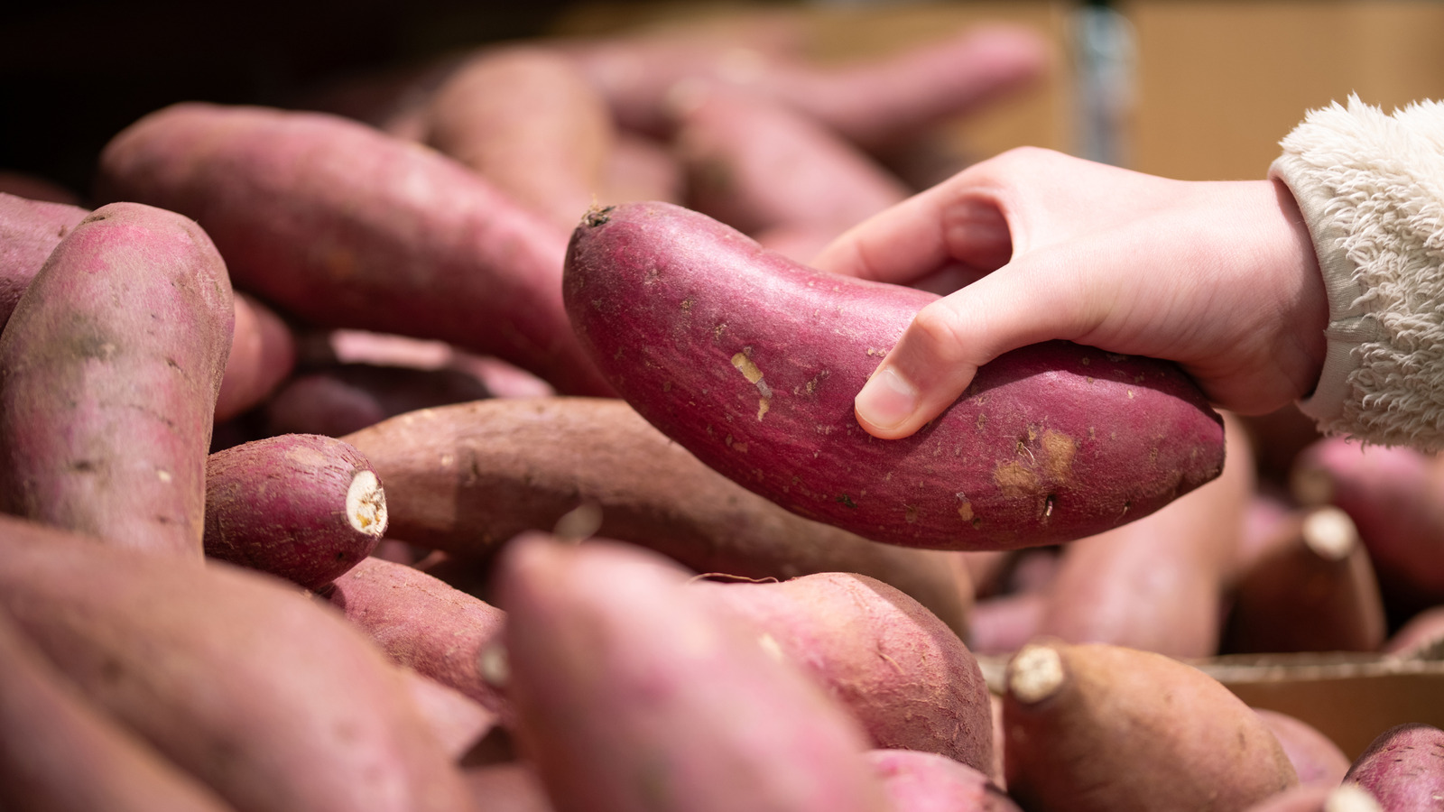 How To Choose The Best Sweet Potatoes At The Grocery Store - Tasting Table