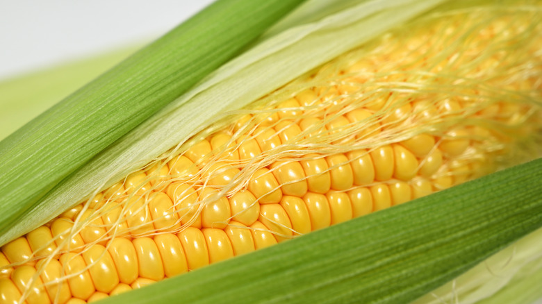 Close up on a cob of corn showing the kernels as well as corn silk covering them