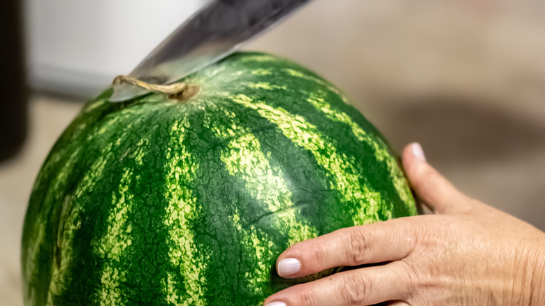 hands taking a knife to a watermelon