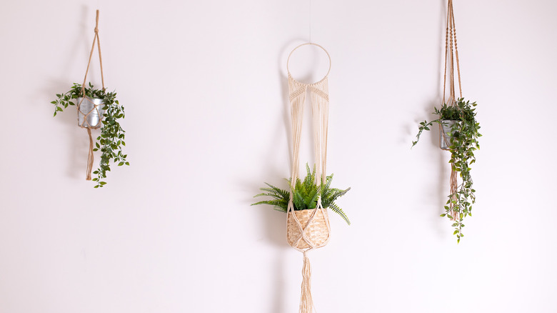 Several pots in a macrame hanger on a wall