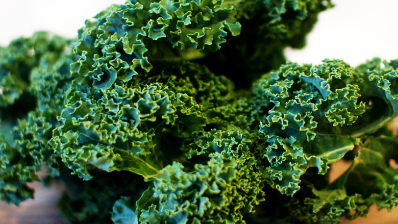 The Fastest Way To Destem Kale