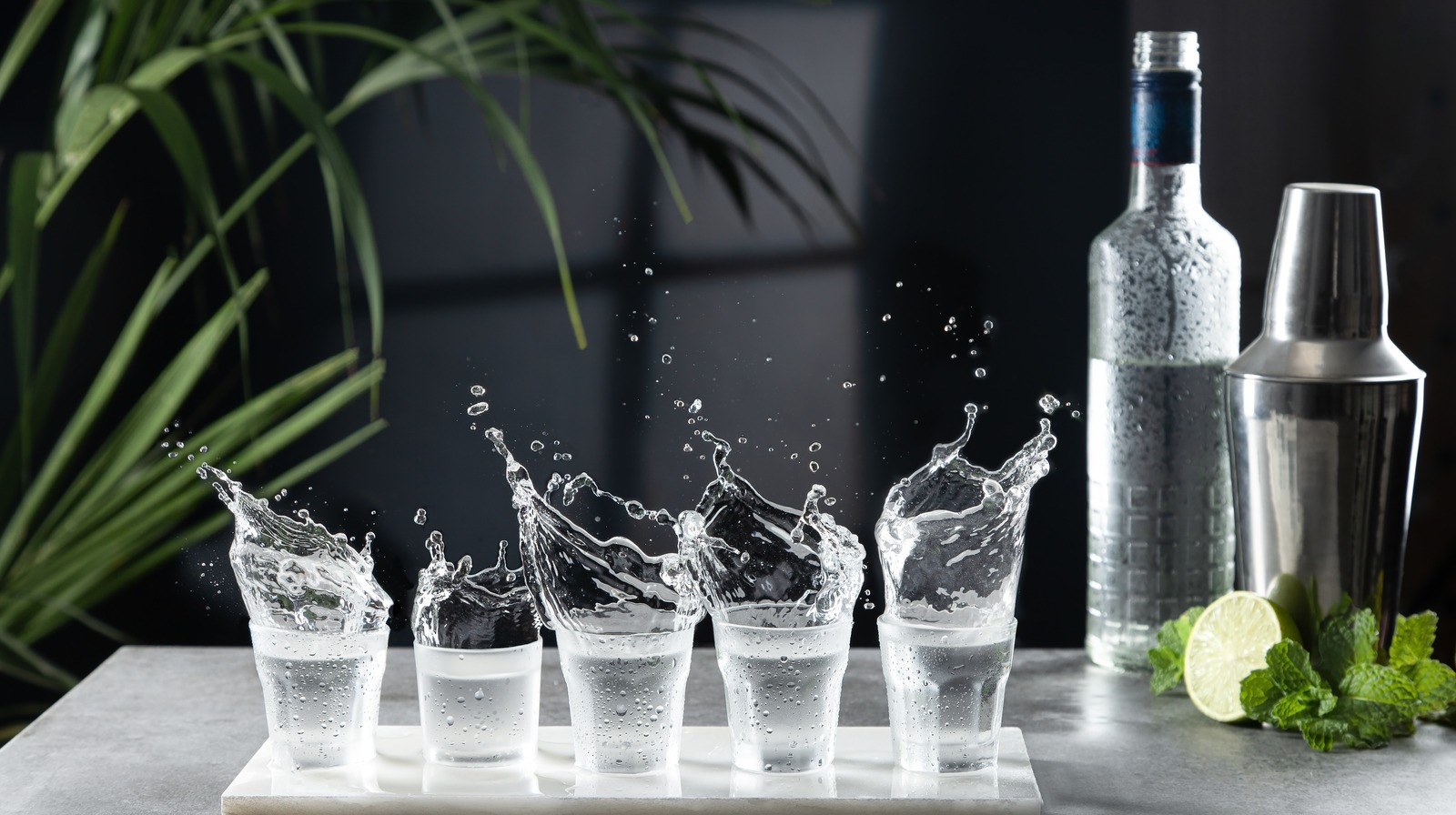 How To Drink Straight Vodka Like A True Connoisseur