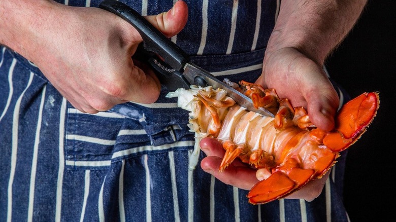 cracking open lobster tail