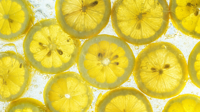 Lemon slices in carbonated water
