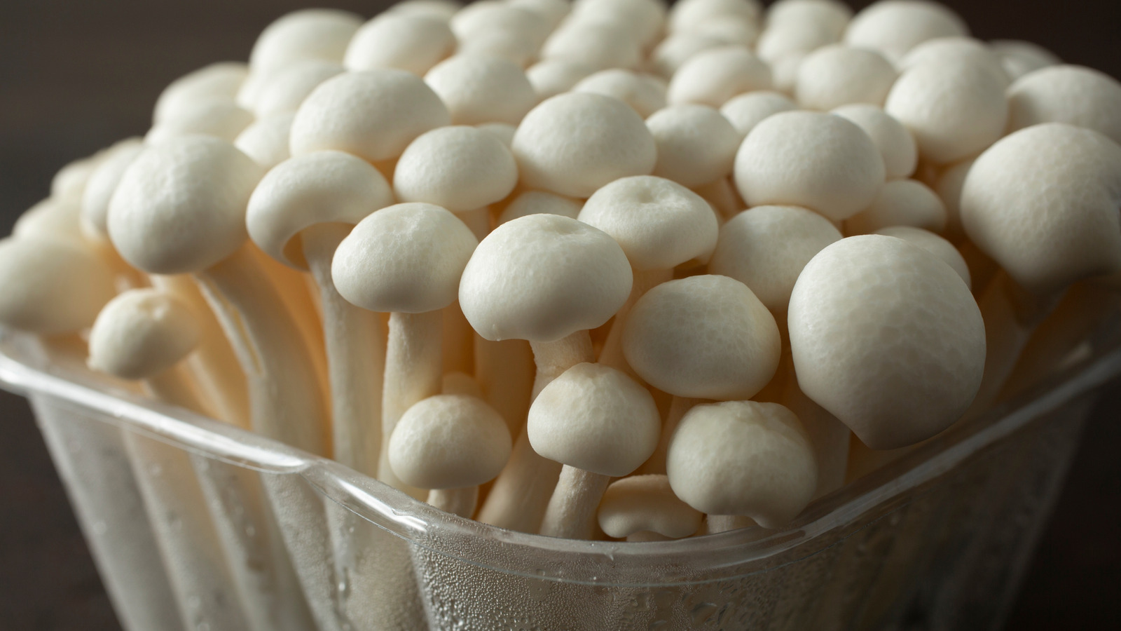 Yes, You Can Grow Mushrooms In An Old Plastic Container - Here's How - Tasting Table