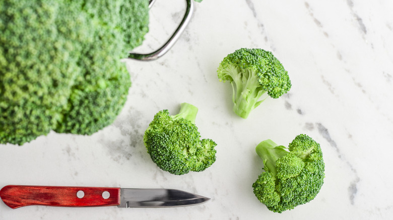 Broccoli head, pieces, and knife on counter
