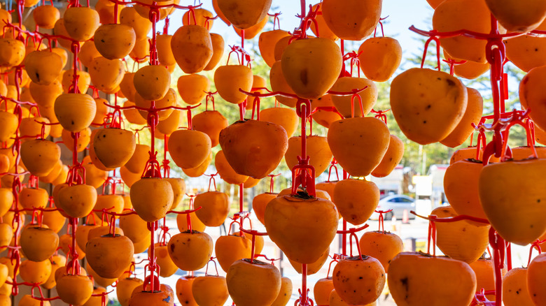 Hachiya persimmons drying into hoshigaki