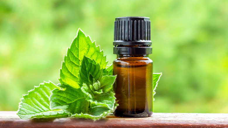 bottle of peppermint extract beside fresh peppermint leaves