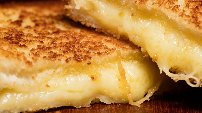 Close-up of a grilled cheese sandwich