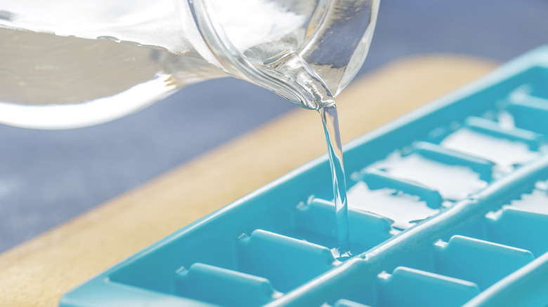 Filling an ice cube mold