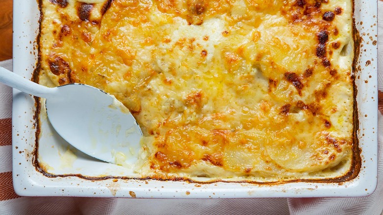 Potato Gratin