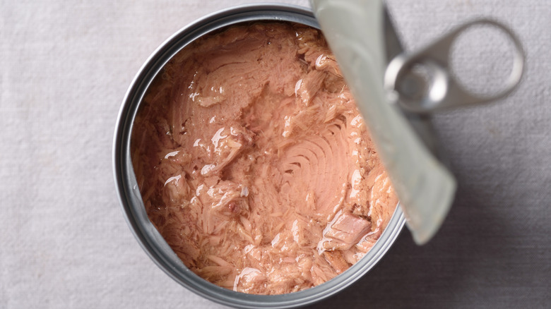 An open can of tuna from above