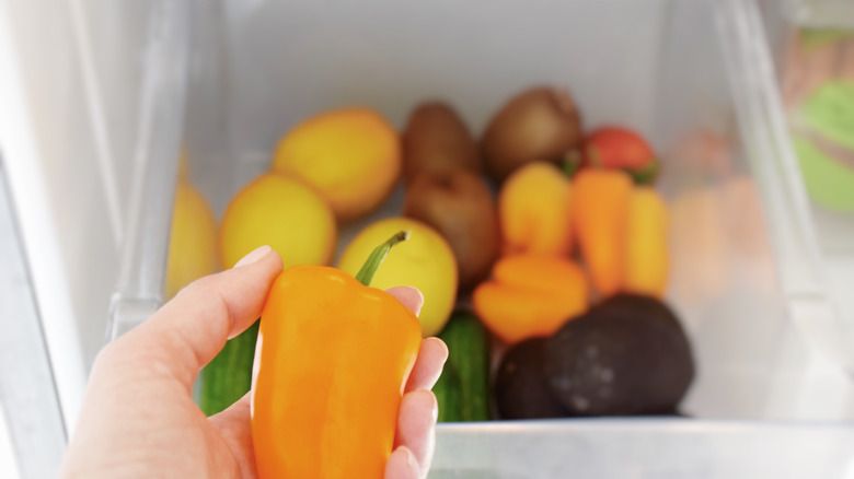 Hand holding pepper over crisper drawer