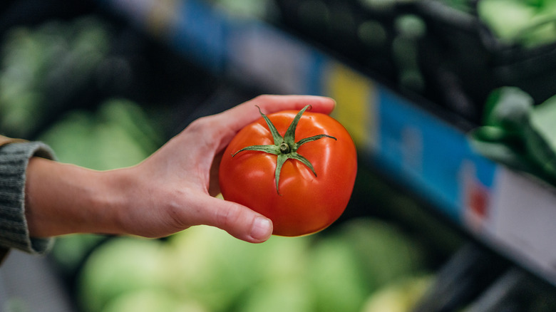 close up of female hand holding a red tomato