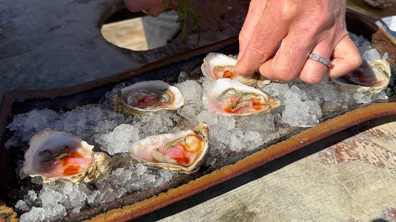 Hand topping tray of open oysters set on ice