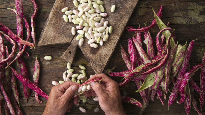 hands shelling beans