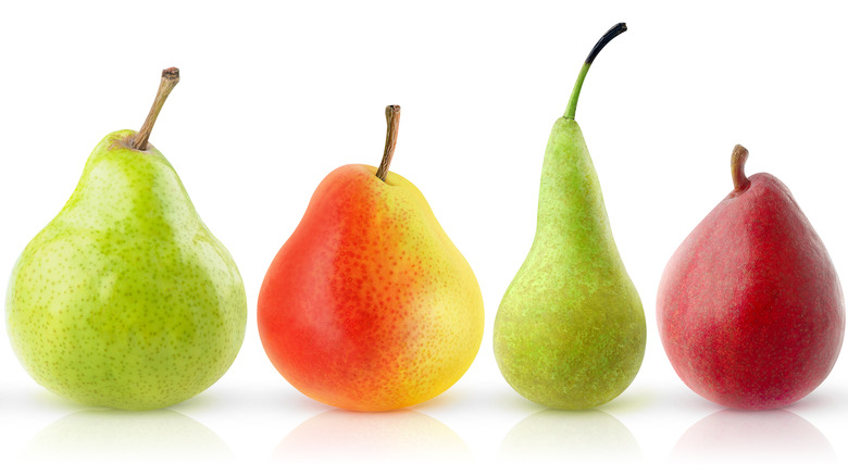 different types of pears