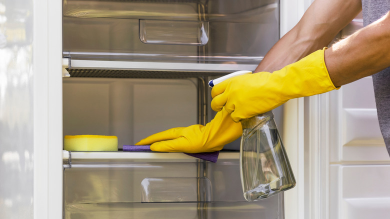 Spraying fridge with sponge and spray bottle
