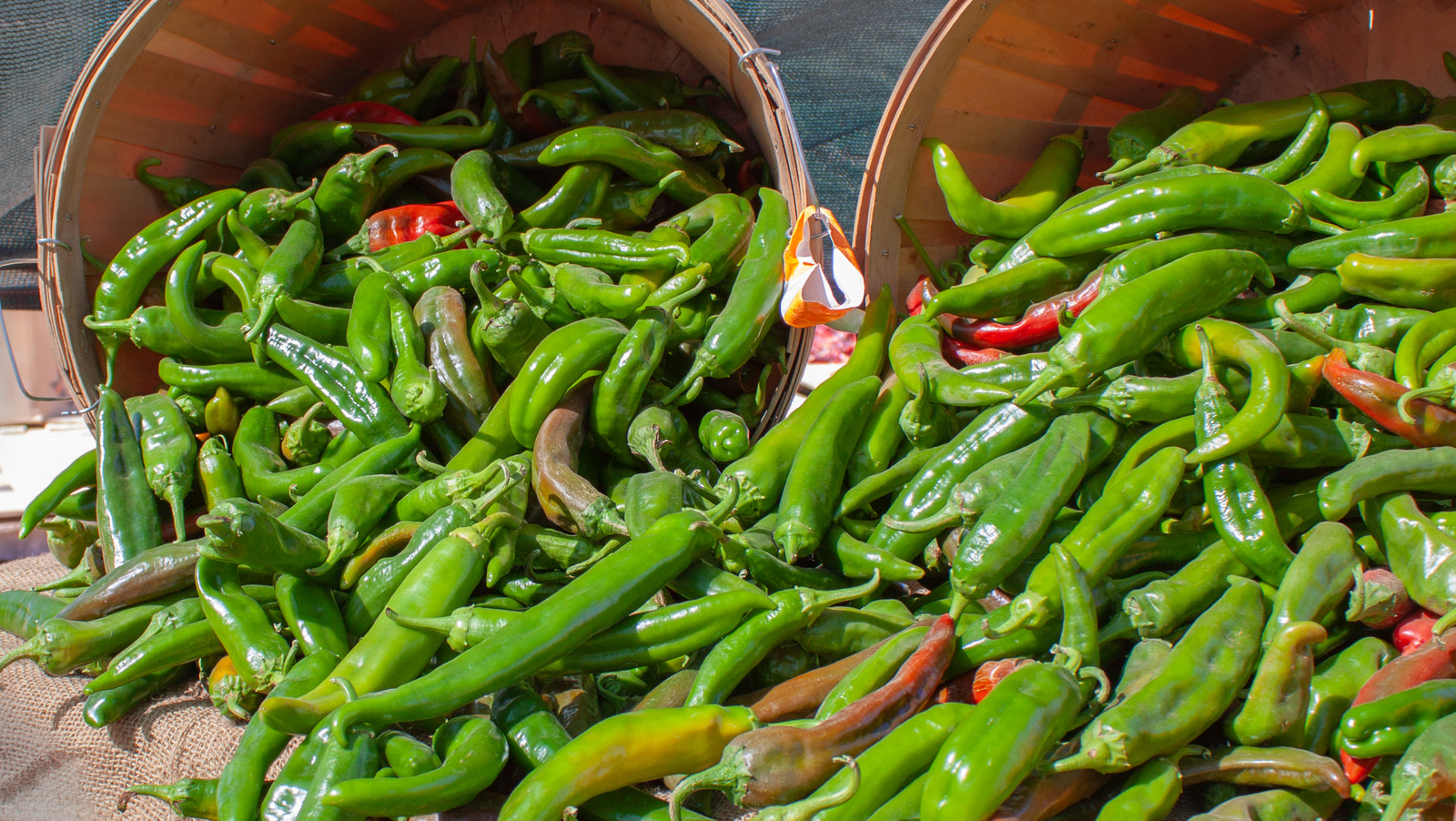 How To Freeze Green Chiles And How Long They Last