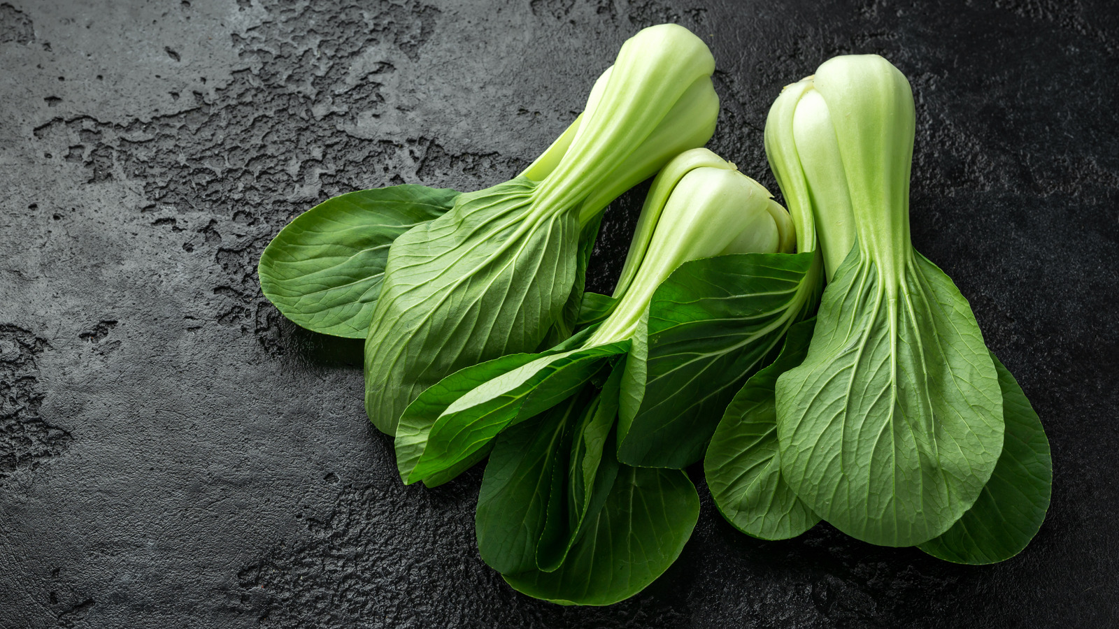 How To Properly Store Fresh Bok Choy