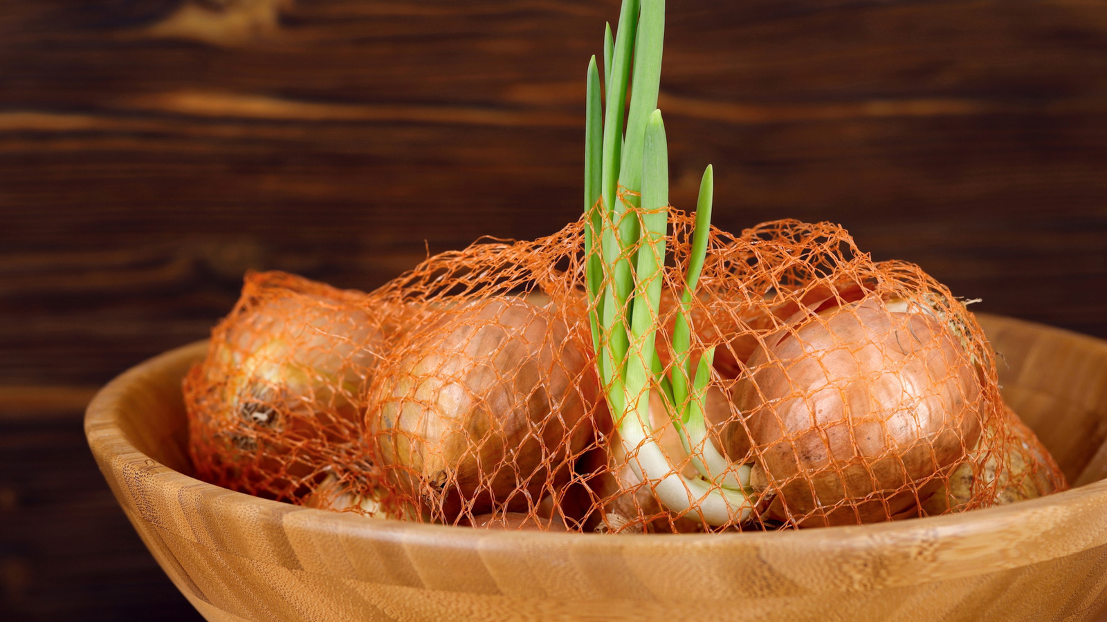 Give Sprouted Onions A New Lease On Life And Regrow Them In Your Garden - Tasting Table