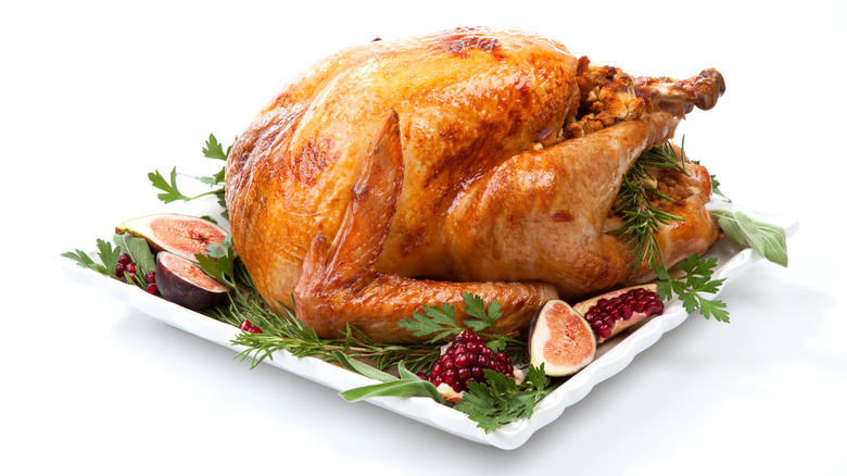 Roasted turkey on white background