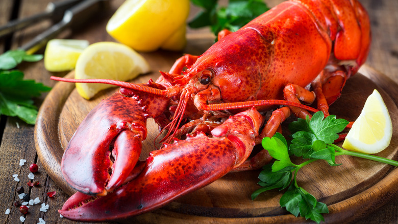 whole steamed lobster on a plate with a lemon wedge