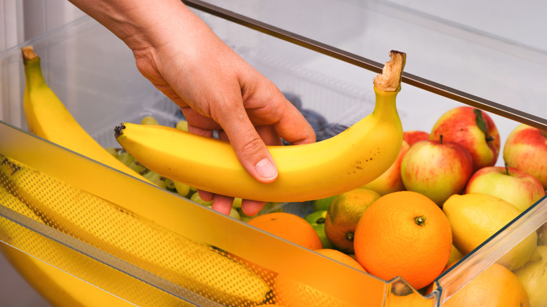 Hand holding banana in refrigerator fruit drawer